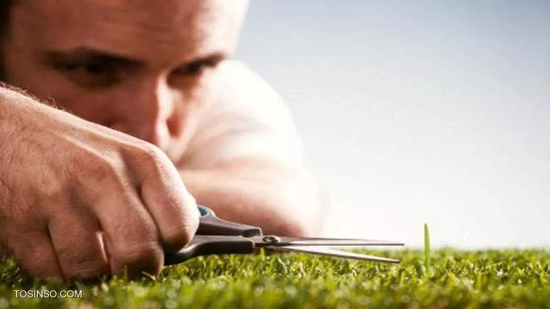 Virtuf-Blog